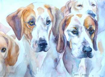 The Foxhounds